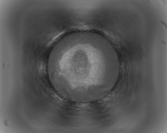X0000091361205200708241302