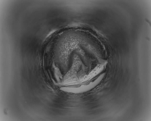 X0000091361206200708241302