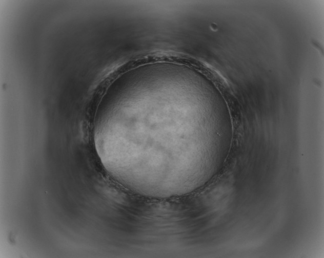 X0000091361207200708241302