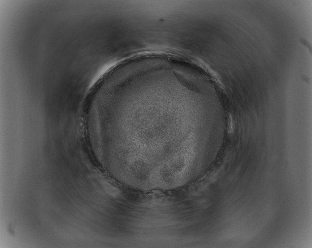 X0000091361208200708241302