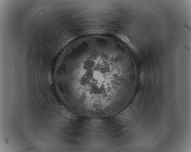 X0000091361209200708241302