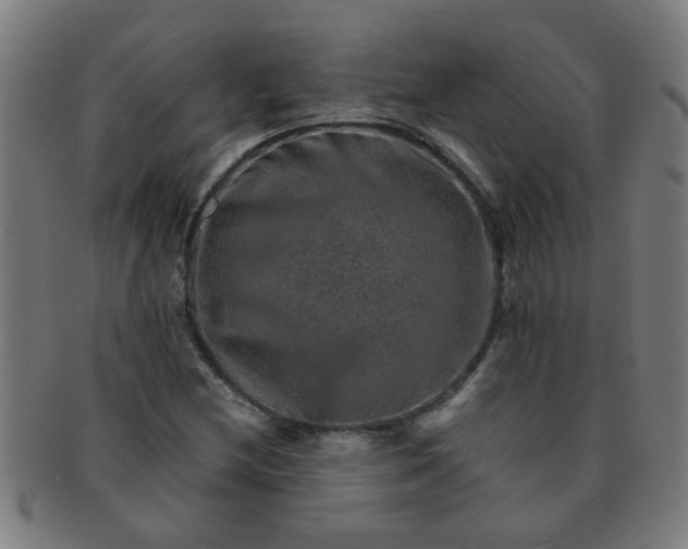 X0000091361212200708241302