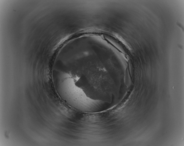 X0000091361213200708241302