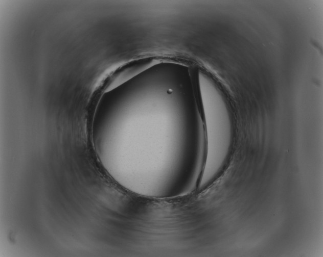 X0000091361214200708241303