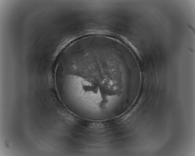 X0000091361215200708241303