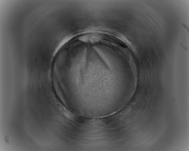 X0000091361216200708241303