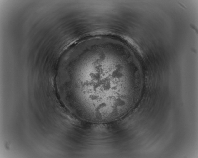 X0000091361217200708241303