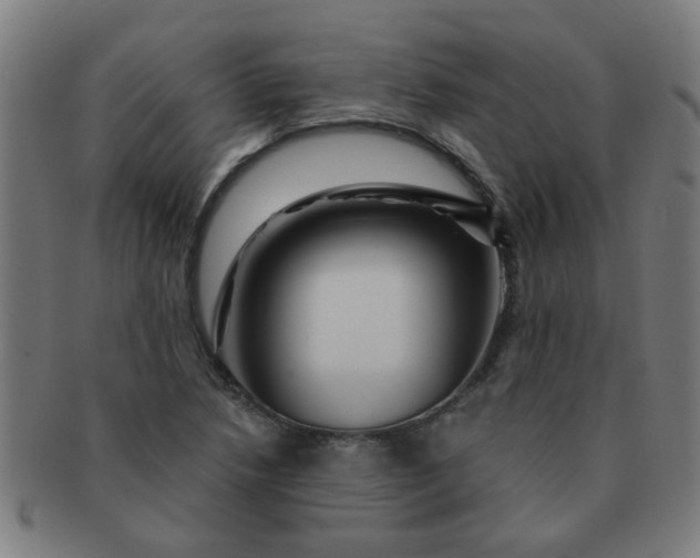 X0000091361218200708241303