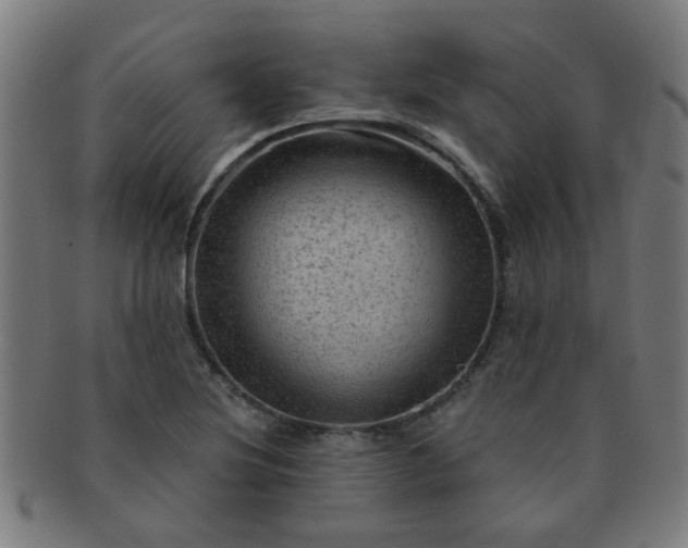 X0000091361220200708241303