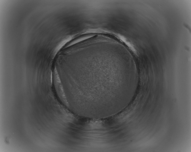 X0000091361221200708241303