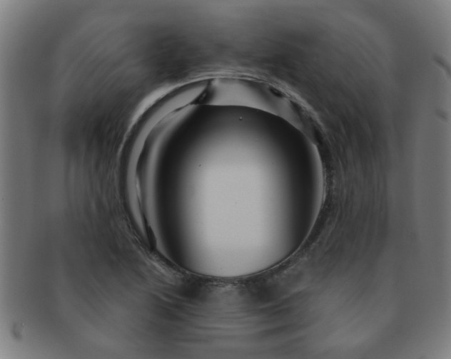 X0000091361222200708241303