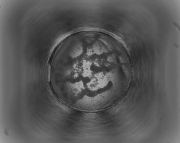 X0000091361223200708241303