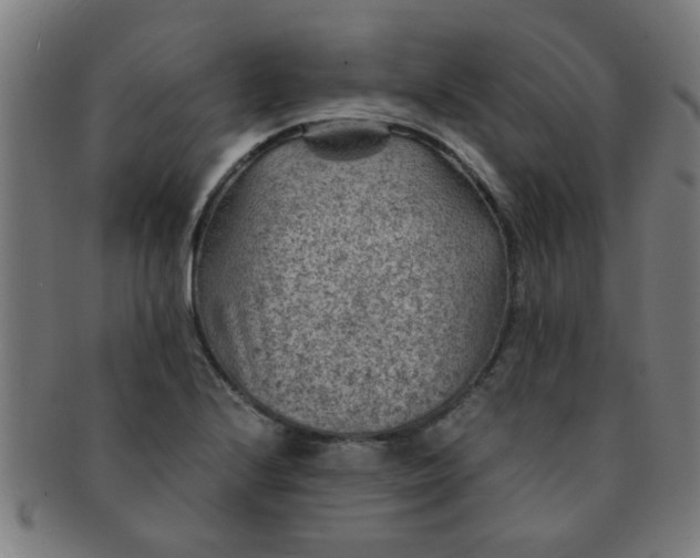 X0000091361224200708241303