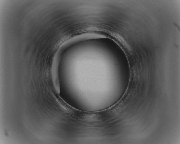X0000091361225200708241303