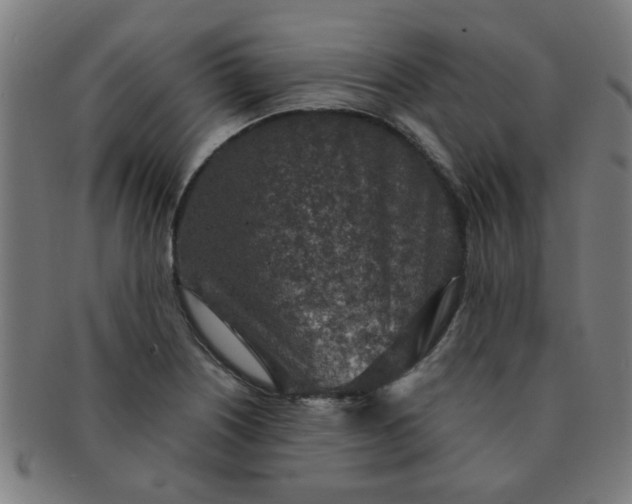 X0000091361226200708241303