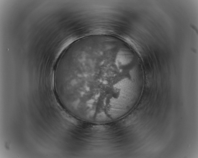 X0000091361227200708241303