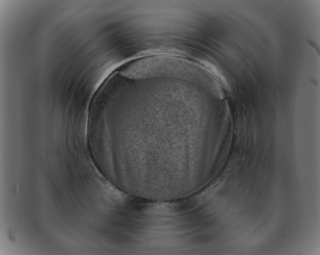 X0000091361228200708241303