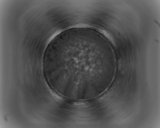 X0000091361229200708241303