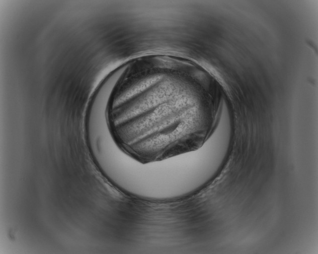 X0000091361230200708241303