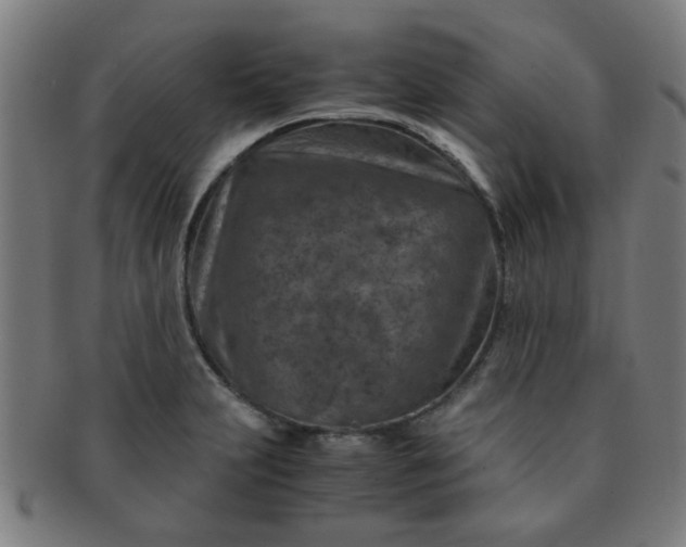 X0000091361231200708241303