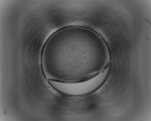 X0000091361232200708241303