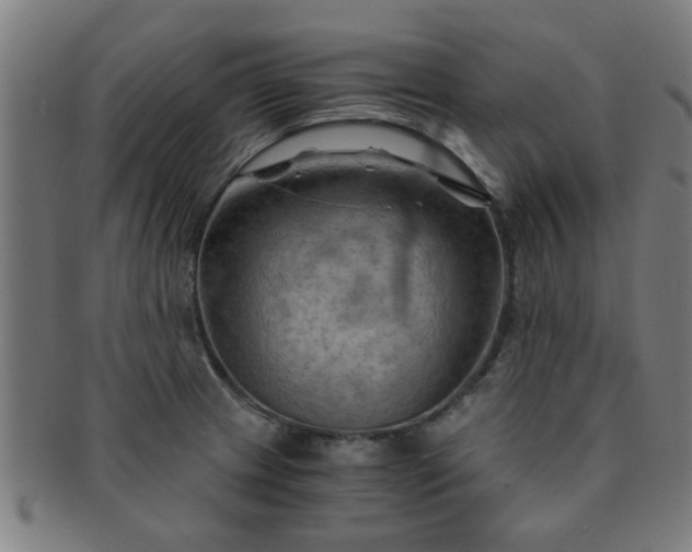 X0000091361233200708241303