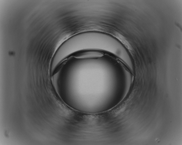 X0000091361234200708241303