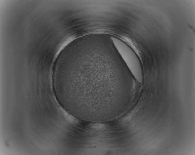 X0000091361235200708241303