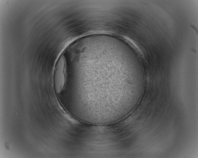 X0000091361236200708241303