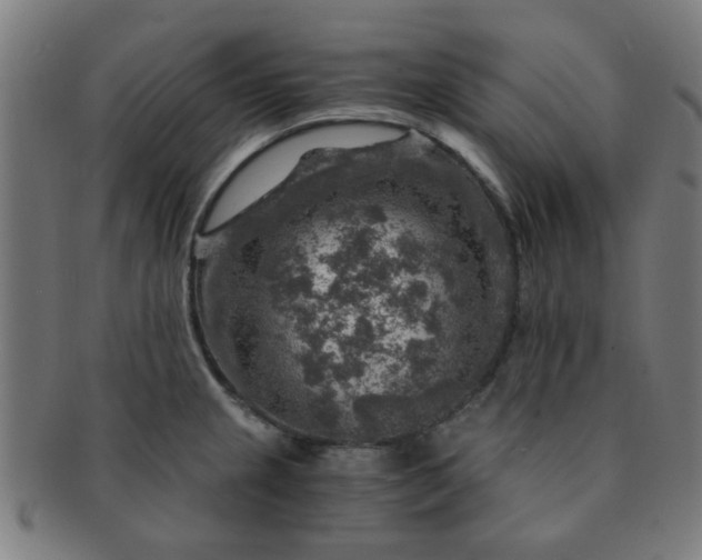 X0000091361237200708241303