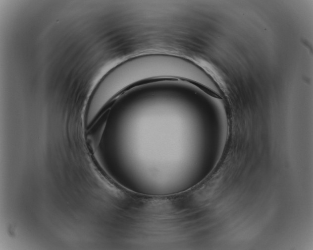 X0000091361238200708241303