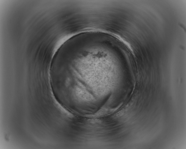 X0000091361239200708241303