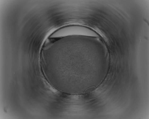 X0000091361240200708241303