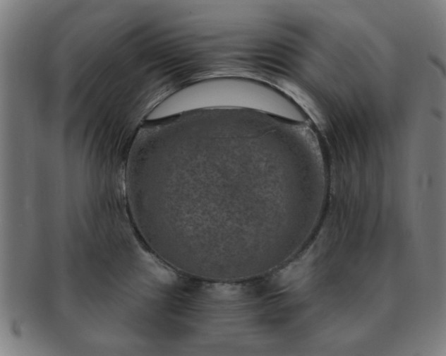 X0000091361241200708241303