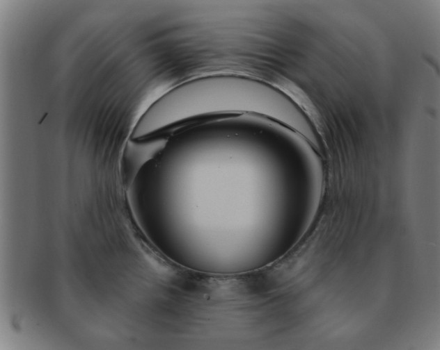 X0000091361242200708241303