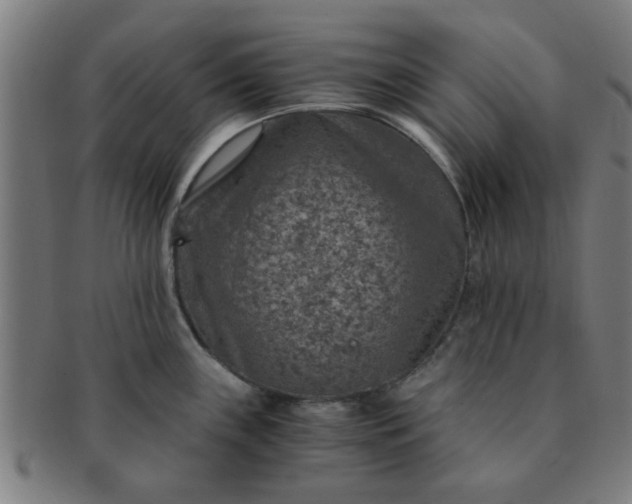 X0000091361243200708241303