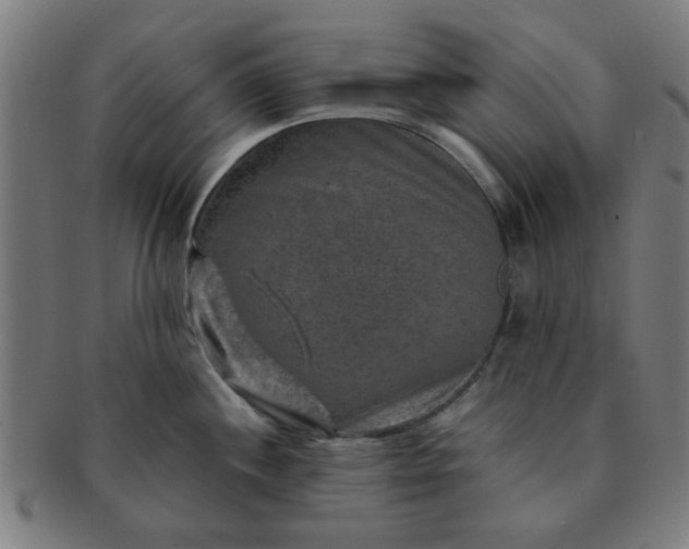 X0000091361244200708241303