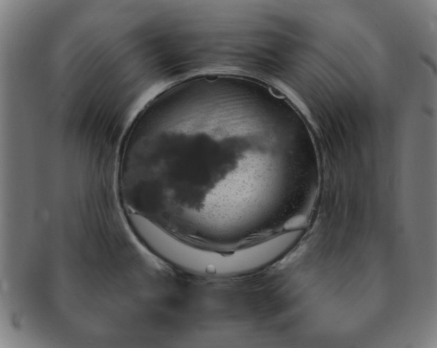 X0000091361245200708241303