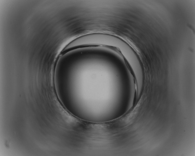 X0000091361246200708241303