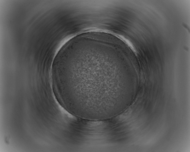X0000091361247200708241303