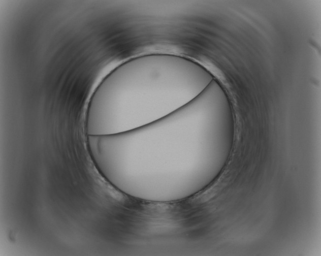 X0000091361248200708241303