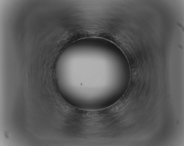 X0000091361249200708241302