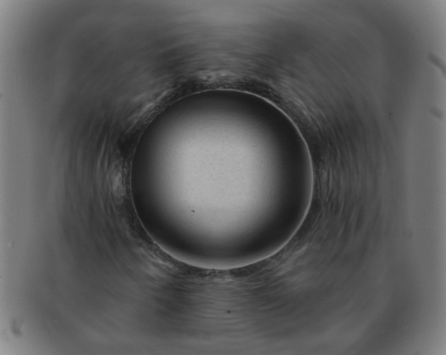 X0000091361250200708241302