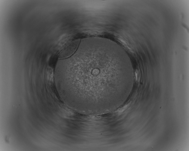 X0000091361251200708241302
