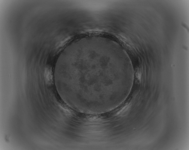 X0000091361252200708241302