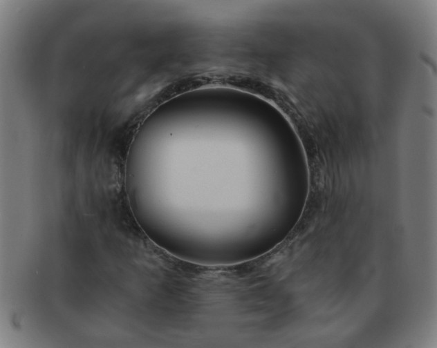 X0000091361253200708241302