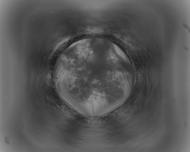 X0000091361254200708241302