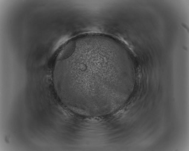 X0000091361255200708241302
