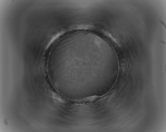 X0000091361256200708241302