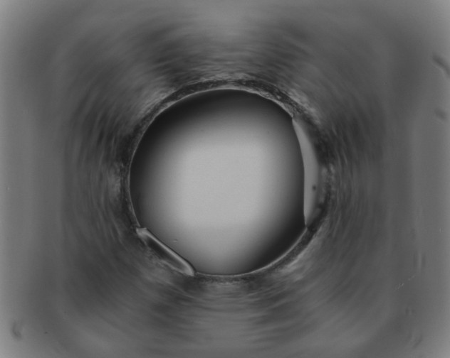 X0000091361257200708241302